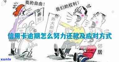 生病了信用卡逾期还不上怎么办？与银行协商的步骤及建议