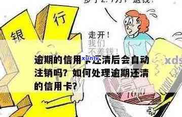 逾期未还款的信用卡如何处理：银行政策与注销操作详解