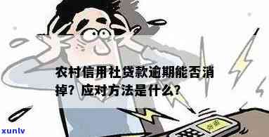 广西农村信用社信用卡逾期了怎么办？如何补救？