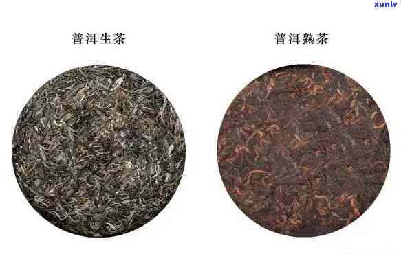 京东十大普洱茶推荐：哪个牌子的性价比更高？