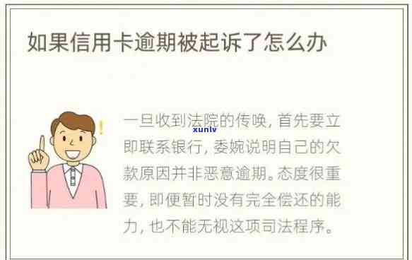 信用卡逾期20万可能面临的法律后果及其解决策略：全面解析与建议