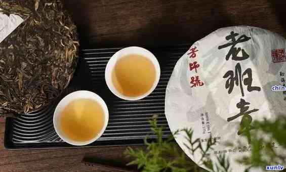 勐库天润茶业老班章：品质越，历厚重，探索真正的班章普洱茶