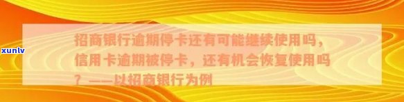 商银信用卡暂停使用问题解决手册：逾期、停用与恢复策略详解