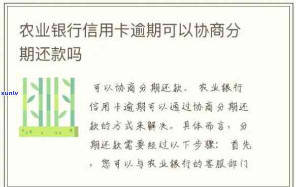 冰种翡翠与豆种翡翠的区别、功效、价值与价格对比：谁更胜一筹？