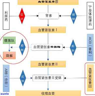 普洱黄曲霉素与金花霉素的区别及其作用机制