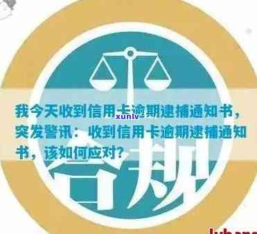 银行发邮件通知信用卡欠款，用户应如何妥善处理并避免被抓捕？