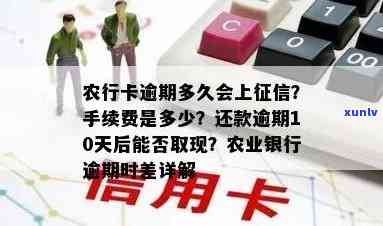 农行信用卡逾期多久会进入系统？如何处理逾期还款以避免影响信用记录？