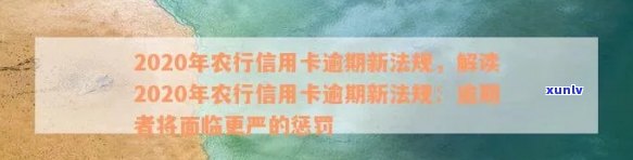 2020年农行信用卡逾期新法规：全面解读与影响分析