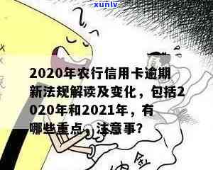 2020年农行信用卡逾期新法规：全面解读与影响分析