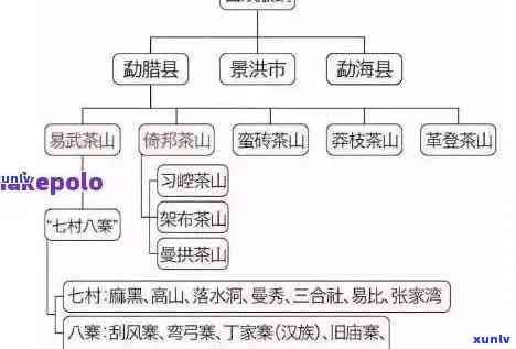 探究老班章普洱茶正宗产地及其独特产区文化