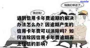 信用卡年费逾期问题全解析：如何解决、影响与对策，你值得了解！