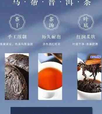 云南特色普洱茶头坛酒报价指南：如何在平台准确查询价格