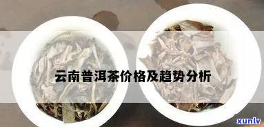 云南普洱茶头价格分析：、产地、批发、促销等关键因素影响市场行情