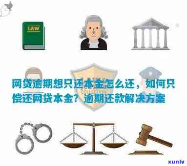 逾期还款后只还本金是否可行：完整解决方案与影响分析