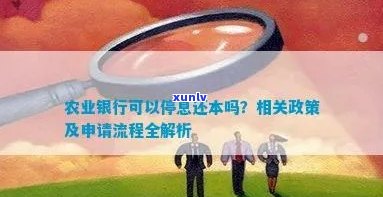 农业银行停息分期操作指南：如何申请及办理，是否有停息挂账？