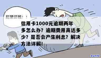 信用卡逾期两年未还款1000元，可能产生的总计费用及如何妥善处理逾期问题