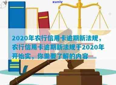 '2020年农行信用卡逾期新法规解读：关键要点与影响'