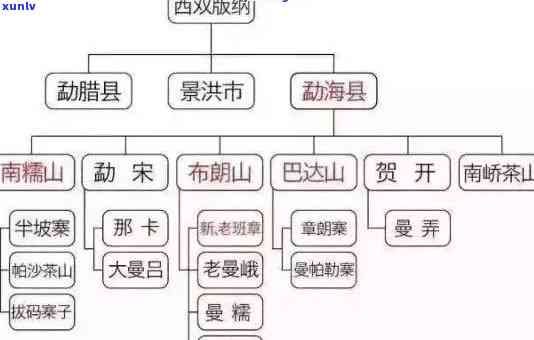 班章茶的源流：一跨越多少年的普洱探寻历程