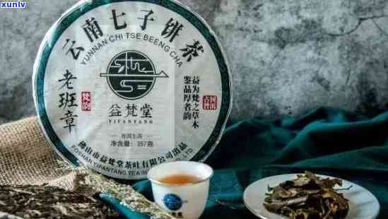 探究普洱茶中的两种明星品类：七子饼茶与老班章的区别比较