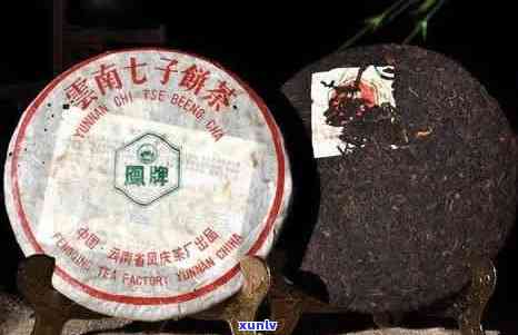 探究普洱茶中的两种明星品类：七子饼茶与老班章的区别比较