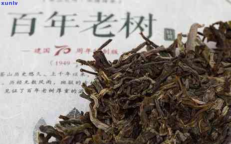 老班章古茶香韵，600年珍品熟茶的独特魅力