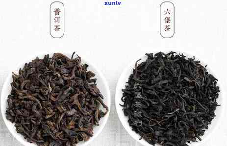 老班章古茶香韵，600年珍品熟茶的独特魅力