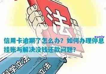 信用卡逾期的补救措：怎么办、处理与信用修复全攻略