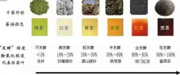 普洱铁观音绿茶区别