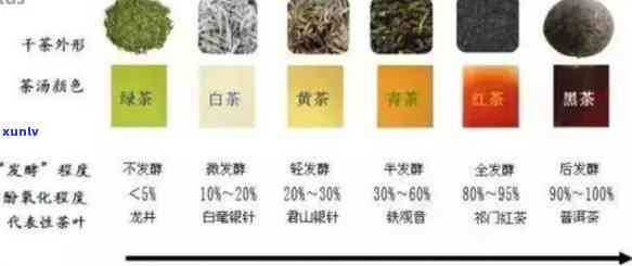 铁观音、普洱茶与乌龙茶：三大茶叶品种的鉴别与比较