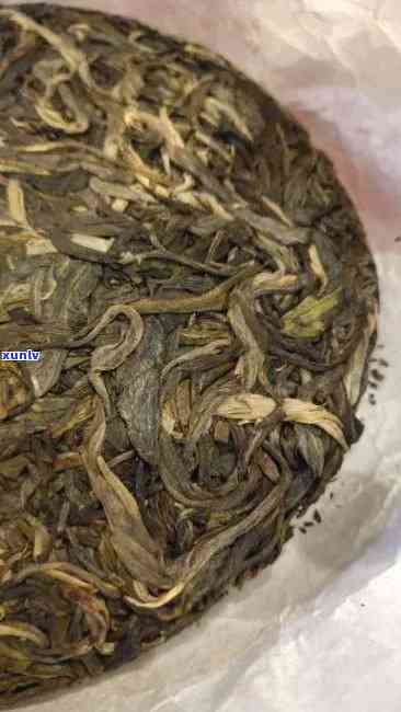 老班章新茶：独特口感与普洱茶文化的完美融合