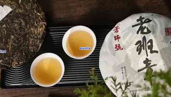 老班章新茶：独特口感与普洱茶文化的完美融合