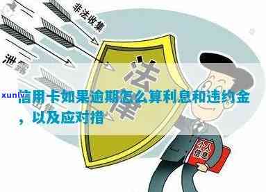 信用卡逾期利息计算攻略：避免罚息和违约金的秘诀