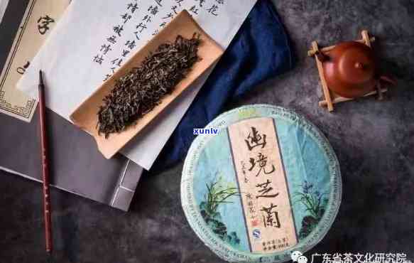 普洱兰香茶：一款融合独特花香与普洱茶文化的解析