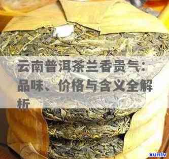 云南普洱茶兰香贵气：品鉴与选购指南，了解品种、产地、泡法等详细信息