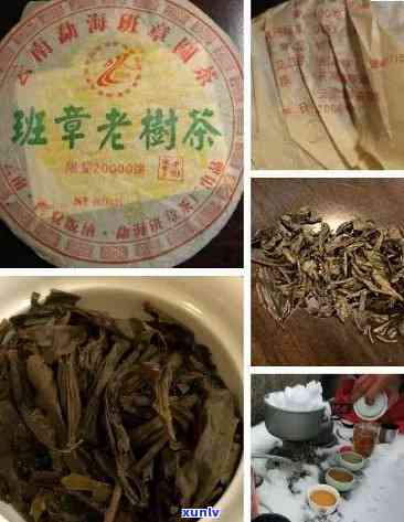 老班章茶怎么分真假：品质与鉴别 *** 详解