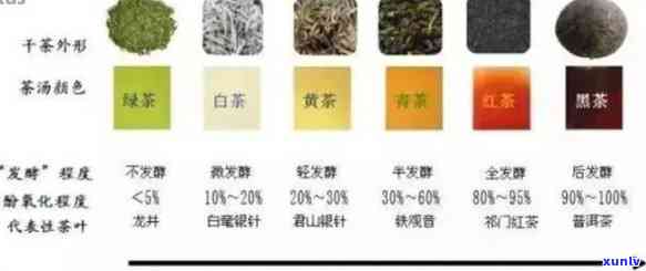 铁观音与普洱茶：全面对比分析，帮助您选择茶叶