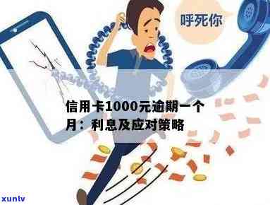 信用卡逾期1000元后果详解：如何应对、影响与解决办法全方位解析