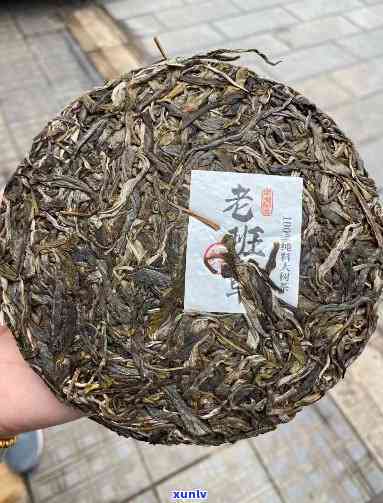 老班章古树茶紧压茶