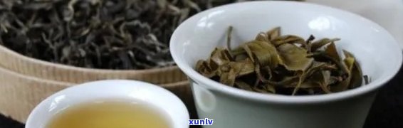 老班章生茶泡完的口感：苦涩还是甜？如何正确泡制才能展现其风味？