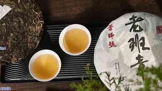 老班章茶香传承：勐海普洱茶的匠心之作与独特风味