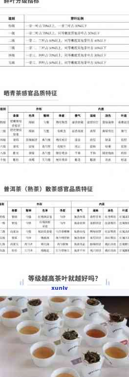 普洱生茶原料的日期、分级、价格表和颜色以及其压饼保存二十年的可行性。