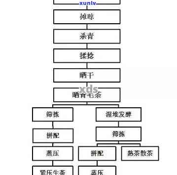 普洱茶的魅力：探究独特的生普工艺与 *** 流程