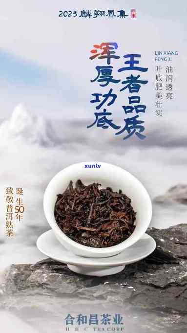 合和老班章茶：探索麟凤之韵，品味古树茶的传奇之美