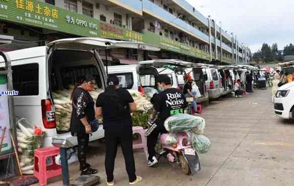 新思区普洱高家寨农贸市场地址及联系 *** ，了解当地蔬菜供应情况