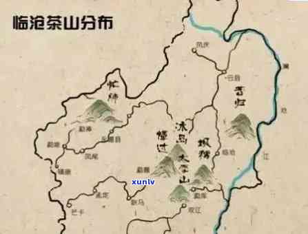 老班章普洱茶的产地及特点：哪个地方孕育了这款珍贵茶叶？