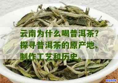 普洱茶的起源、产地及 *** 工艺全面解析：了解普洱茶的完整故事