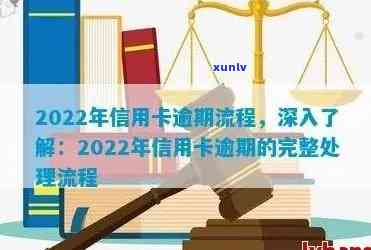 2022年信用卡逾期还款政策详解：持卡人必知的处理流程与步骤