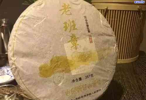 老班章怎么品：鉴别与品种全解