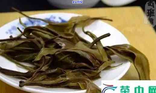 班章木茶与老班章茶：品种、口感、功效及鉴别 *** 的全面比较