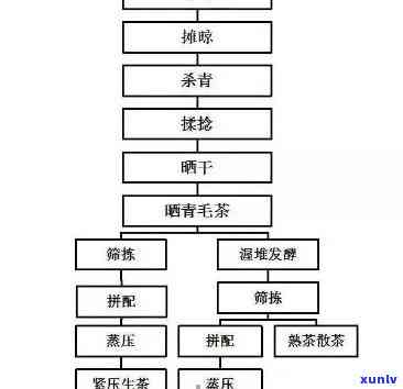 全面了解老班章茶叶：从茶叶品质到生产流程，解答您的所有疑问